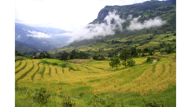 Les paysages spectaculaires des rizières en terrasse d’Y Ty ảnh 5