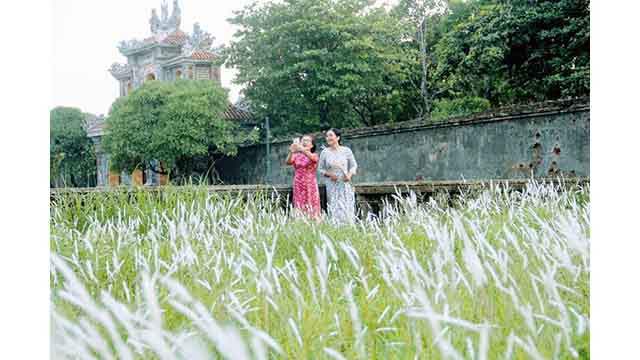 Les visiteurs enthousiasmés par la prise de photos des fleurs d’imperata cylindrica à la Cité pourpre interdite ảnh 5
