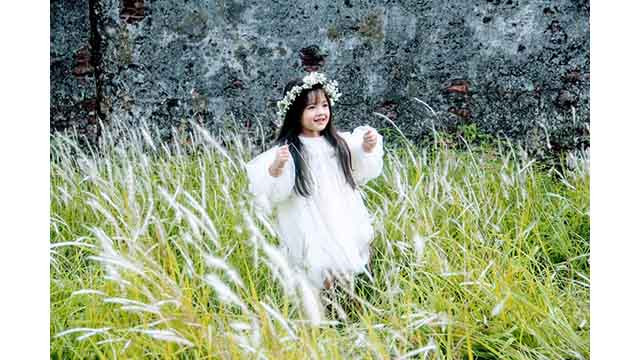 Les visiteurs enthousiasmés par la prise de photos des fleurs d’imperata cylindrica à la Cité pourpre interdite ảnh 8