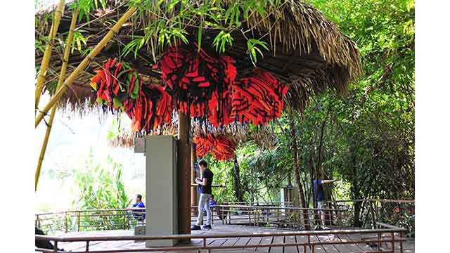 Découverte de la beauté sauvage du ruisseau Nuoc Mooc ảnh 8 Découverte de la beauté sauvage du ruisseau Nuoc Mooc ảnh 8