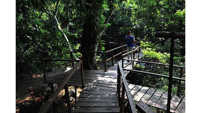 Découverte de la beauté sauvage du ruisseau Nuoc Mooc ảnh 3 Découverte de la beauté sauvage du ruisseau Nuoc Mooc ảnh 3