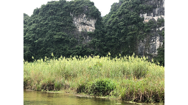 L’air salubre à Tràng An ảnh 5