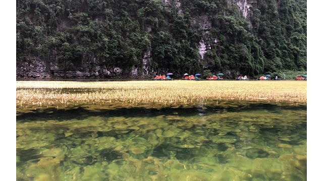 L’air salubre à Tràng An ảnh 3