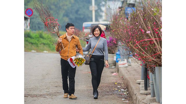 Des pêchers fleurissent dans les rues de la capitale au milieu du froid ảnh 10 Des pêchers fleurissent dans les rues de la capitale au milieu du froid ảnh 10