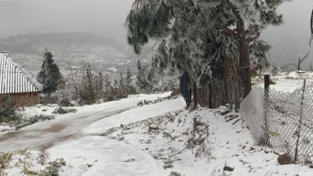 Il neige à Y Ty et à Sa Pa ảnh 8 Il neige à Y Ty et à Sa Pa ảnh 8