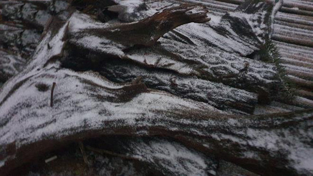 Il neige à Y Ty et à Sa Pa ảnh 10 Il neige à Y Ty et à Sa Pa ảnh 10