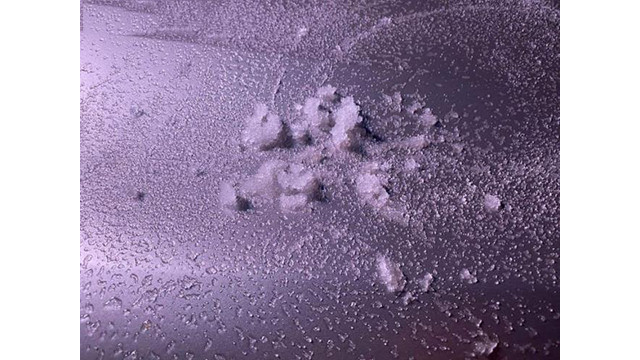 Il neige à Y Ty et à Sa Pa ảnh 7 Il neige à Y Ty et à Sa Pa ảnh 7