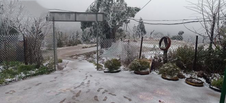 Il neige à Y Ty et à Sa Pa ảnh 12 Il neige à Y Ty et à Sa Pa ảnh 12