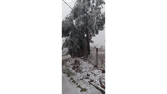 Il neige à Y Ty et à Sa Pa ảnh 14 Il neige à Y Ty et à Sa Pa ảnh 14