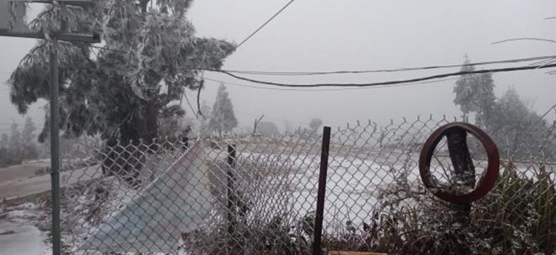 Il neige à Y Ty et à Sa Pa ảnh 11 Il neige à Y Ty et à Sa Pa ảnh 11