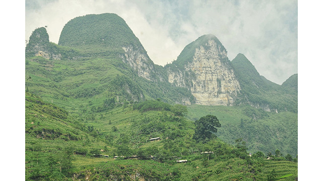 La rivière Nho Quê brille à la saison des fleurs de Bombax ảnh 8