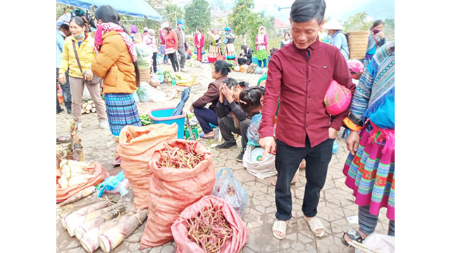 Unique marché montagnard à Lào Cai ảnh 5