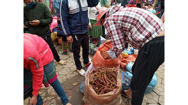 Unique marché montagnard à Lào Cai ảnh 3