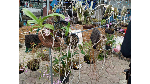 Unique marché montagnard à Lào Cai ảnh 8