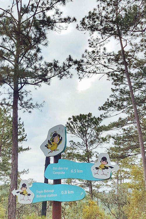 Découverte de la forêt de Bidoup - Parc national Nui Bà à Lâm Dông ảnh 7 Découverte de la forêt de Bidoup - Parc national Nui Bà à Lâm Dông ảnh 7