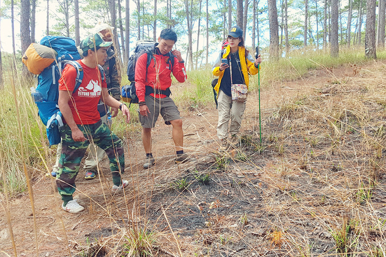 Découverte de la forêt de Bidoup - Parc national Nui Bà à Lâm Dông ảnh 8 Découverte de la forêt de Bidoup - Parc national Nui Bà à Lâm Dông ảnh 8