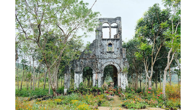 Des tournesols sauvages enchanteurs brillent sur le volcan inactif de Chu Dang Ya ảnh 11 Des tournesols sauvages enchanteurs brillent sur le volcan inactif de Chu Dang Ya ảnh 11