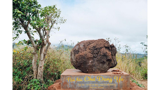 Des tournesols sauvages enchanteurs brillent sur le volcan inactif de Chu Dang Ya ảnh 3 Des tournesols sauvages enchanteurs brillent sur le volcan inactif de Chu Dang Ya ảnh 3