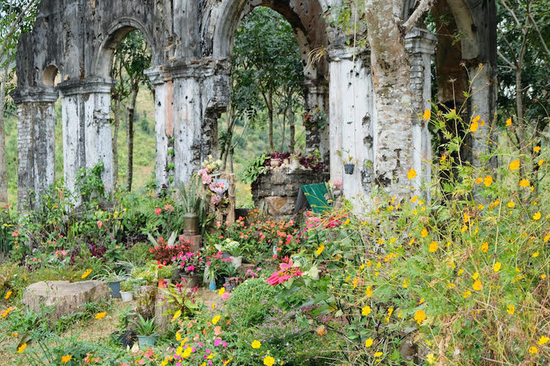 Des tournesols sauvages enchanteurs brillent sur le volcan inactif de Chu Dang Ya ảnh 12 Des tournesols sauvages enchanteurs brillent sur le volcan inactif de Chu Dang Ya ảnh 12