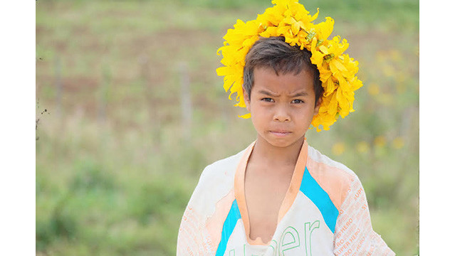 Des tournesols sauvages enchanteurs brillent sur le volcan inactif de Chu Dang Ya ảnh 7 Des tournesols sauvages enchanteurs brillent sur le volcan inactif de Chu Dang Ya ảnh 7