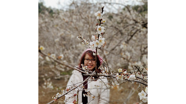 La beauté surprenante au paradis de fleurs d’abricotier à Môc Châu ảnh 6