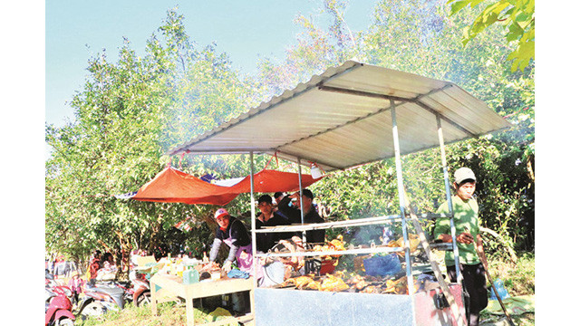 La fête florale des camélias à Binh Liêu ảnh 4