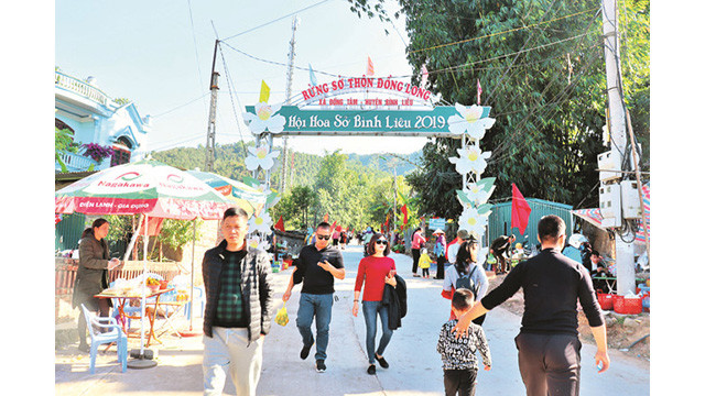 La fête florale des camélias à Binh Liêu ảnh 2