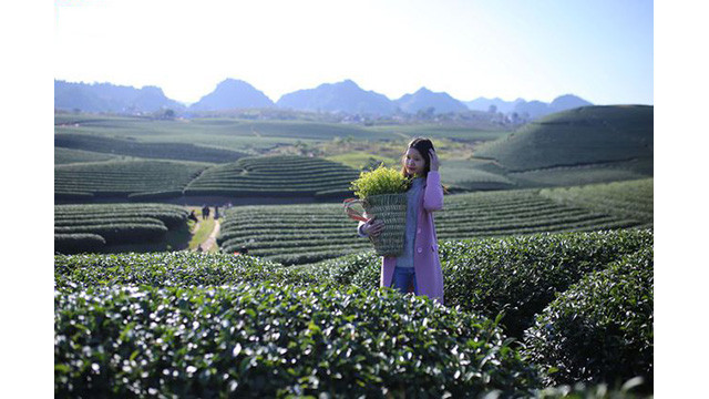 La beauté surprenante de Môc Châu aux jours de fin d’année ảnh 2