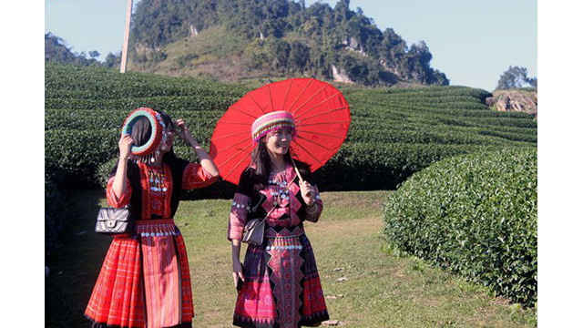La beauté surprenante de Môc Châu aux jours de fin d’année ảnh 1