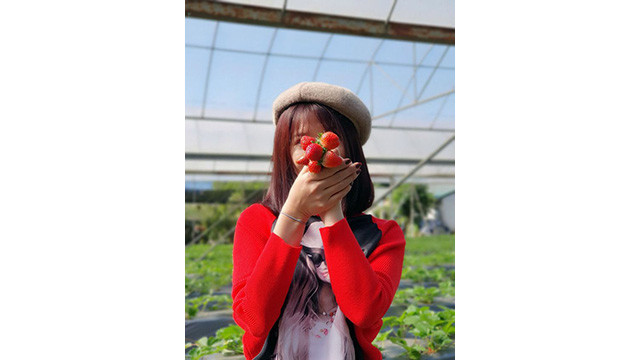 La beauté surprenante de Môc Châu aux jours de fin d’année ảnh 8