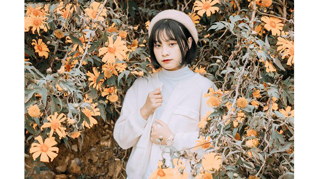 La beauté surprenante de Môc Châu aux jours de fin d’année ảnh 5