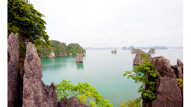 Vung Hà, lieu paradisiaque de roches et d’eau ảnh 5 Vung Hà, lieu paradisiaque de roches et d’eau ảnh 5