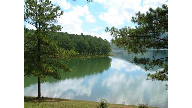 Des paysages poétiques du lac Suôi Vàng - Dà Lat ảnh 3 Des paysages poétiques du lac Suôi Vàng - Dà Lat ảnh 3