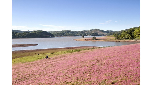 Des paysages poétiques du lac Suôi Vàng - Dà Lat ảnh 2 Des paysages poétiques du lac Suôi Vàng - Dà Lat ảnh 2