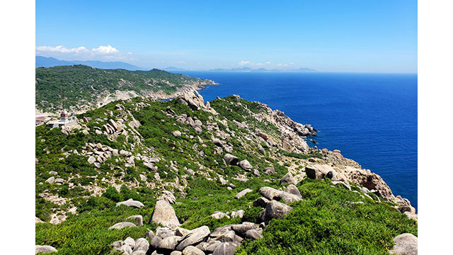 Tourisme estivale sur l’île de Cu Lao Xanh ảnh 6 Tourisme estivale sur l’île de Cu Lao Xanh ảnh 6