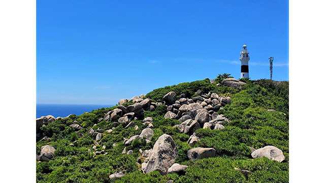 Tourisme estivale sur l’île de Cu Lao Xanh ảnh 5 Tourisme estivale sur l’île de Cu Lao Xanh ảnh 5