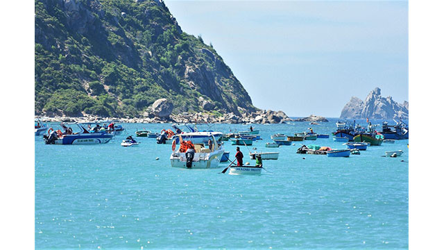 Tourisme estivale sur l’île de Cu Lao Xanh ảnh 3 Tourisme estivale sur l’île de Cu Lao Xanh ảnh 3