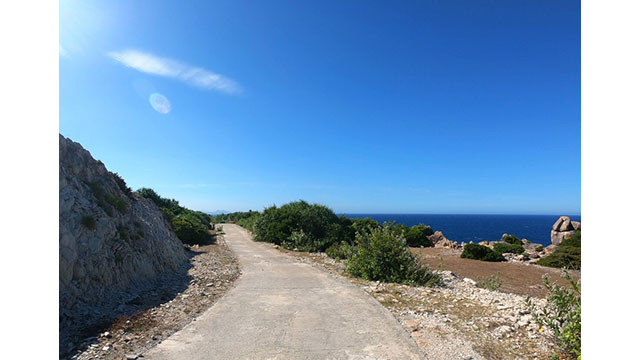 Tourisme estivale sur l’île de Cu Lao Xanh ảnh 4 Tourisme estivale sur l’île de Cu Lao Xanh ảnh 4