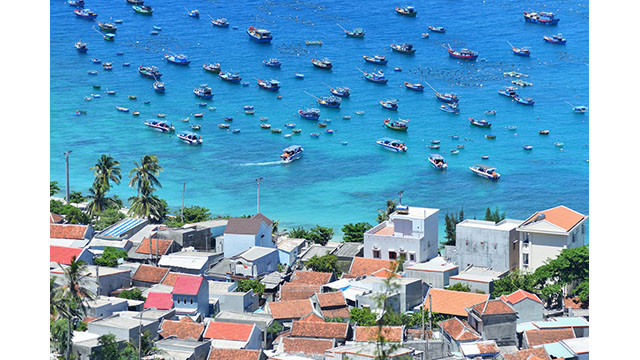 Tourisme estivale sur l’île de Cu Lao Xanh ảnh 2 Tourisme estivale sur l’île de Cu Lao Xanh ảnh 2