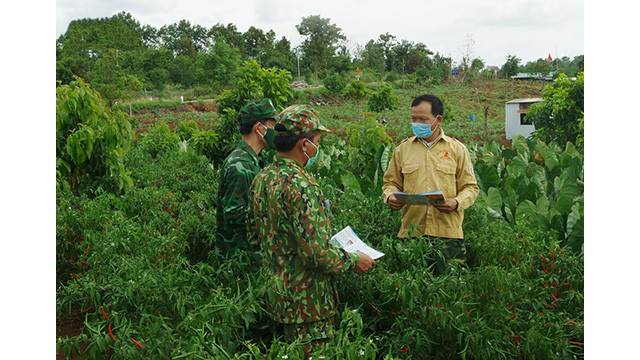 Tây Nguyên avant le jour des élections ảnh 6 Tây Nguyên avant le jour des élections ảnh 6