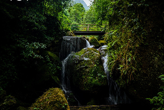 Sin Suôi Hô, village touristique communautaire vierge et tranquille ảnh 5 Sin Suôi Hô, village touristique communautaire vierge et tranquille ảnh 5