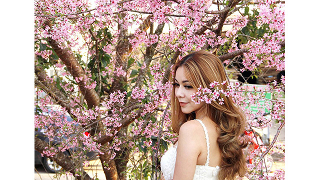 Les fleurs de cerisier illuminent la ville montagneuse de Dà Lat ảnh 6