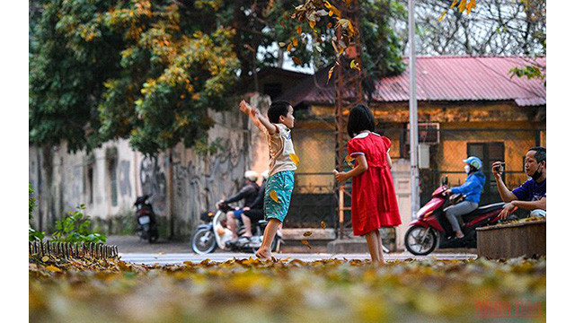 La beauté de Hanoi à la saison des feuilles mortes ảnh 12 La beauté de Hanoi à la saison des feuilles mortes ảnh 12