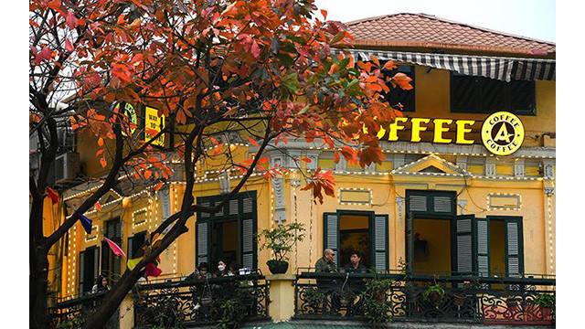 La beauté de Hanoi à la saison des feuilles mortes ảnh 8 La beauté de Hanoi à la saison des feuilles mortes ảnh 8