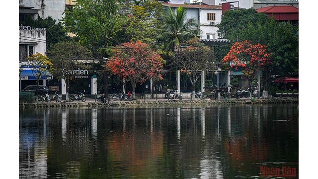 La beauté de Hanoi à la saison des feuilles mortes ảnh 5 La beauté de Hanoi à la saison des feuilles mortes ảnh 5