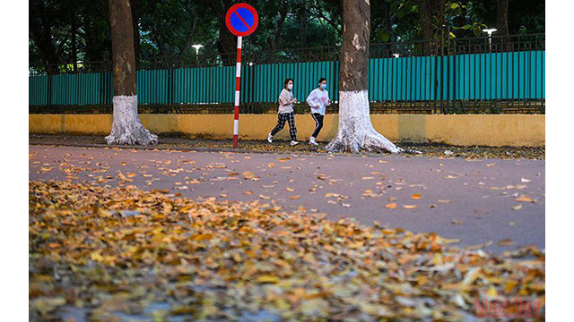 La beauté de Hanoi à la saison des feuilles mortes ảnh 15 La beauté de Hanoi à la saison des feuilles mortes ảnh 15