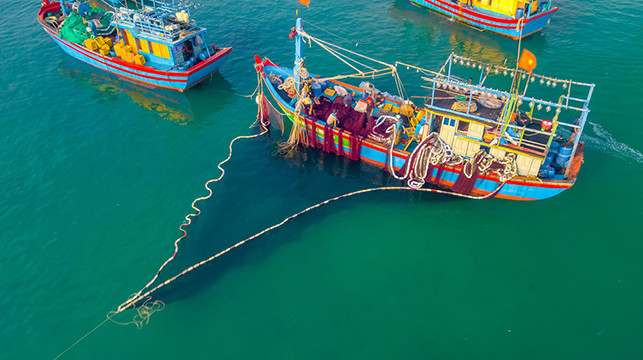 Quang Ngai, un « village de pêcheurs » unique attire les visiteurs ảnh 8 Quang Ngai, un « village de pêcheurs » unique attire les visiteurs ảnh 8
