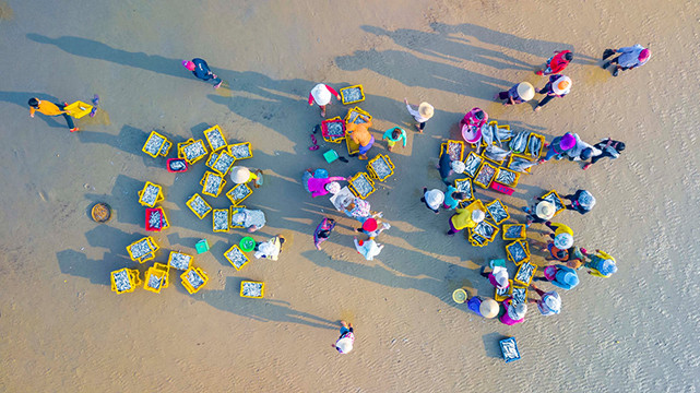 Quang Ngai, un « village de pêcheurs » unique attire les visiteurs ảnh 7 Quang Ngai, un « village de pêcheurs » unique attire les visiteurs ảnh 7