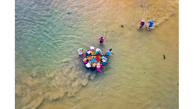 Quang Ngai, un « village de pêcheurs » unique attire les visiteurs ảnh 5 Quang Ngai, un « village de pêcheurs » unique attire les visiteurs ảnh 5