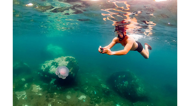 Quang Ngai, un « village de pêcheurs » unique attire les visiteurs ảnh 4 Quang Ngai, un « village de pêcheurs » unique attire les visiteurs ảnh 4
